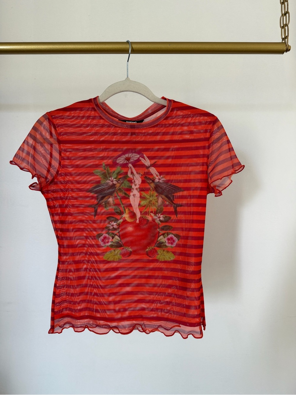 Sheer Striped Floral Graphic Crop Tee - Women